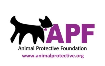 Animal Protective Foundation