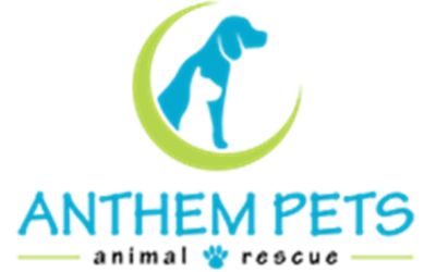 partnerCompanyName