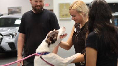 Where Love Finds a Home: Subaru Loves Pets at Sunset Hills Subaru