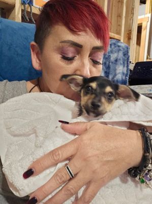 Troncalli Subaru is making an impact with shelter animals in Georgia