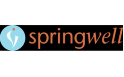Springwell Inc