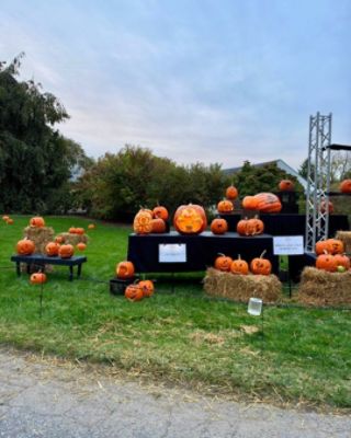 Supporting Our Community at Ladew Gardens' Garden Glow