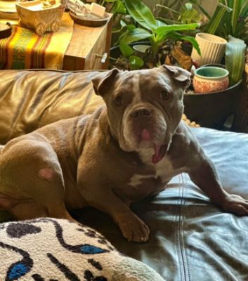 Happy Ending for Mistletoe 