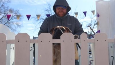 Sunset Hills Subaru: Celebrating Community, Pets, and Mardi Gras Magic!