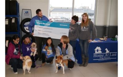 Home At Last Dog Rescue Meet & Greet Event
