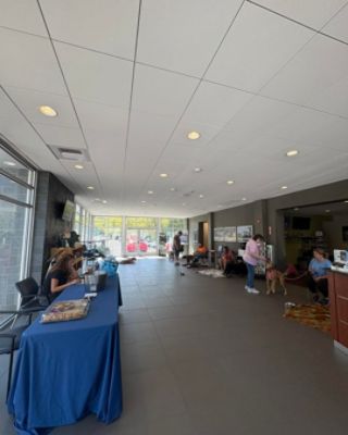 Thomas Automotive Subaru Bedford Hosts Lively Pet Adoption Day and Community Event!