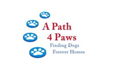 partnerCompanyName