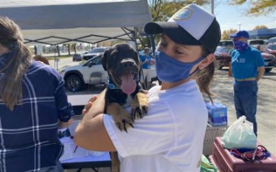 Dellenbach pet adoption event saves lives
