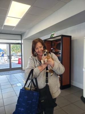 Cross Creek Subaru Loves Pets Adoption Event