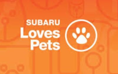 SUBARU LOVES PETS