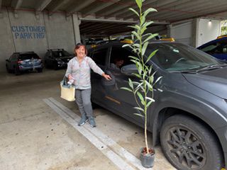 Rooted in the Community,