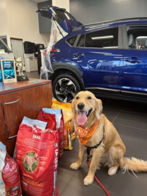 AutoFair Subaru Loves the MSPCA @ Nevins Farm