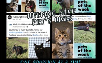 Helping Save Pet’s Lives one Adoption at a Time