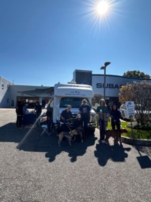 Southampton Animal Shelter Microchipping Adoption Event