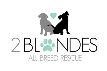 2 Blondes All Breed Rescue