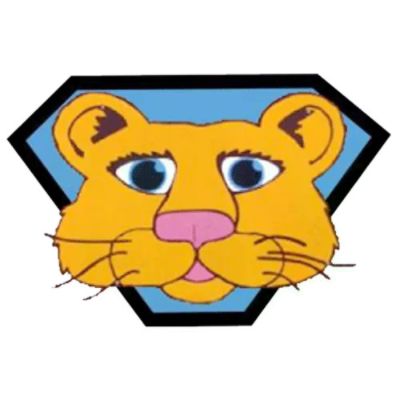partnerCompanyName