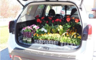 Cole Subaru Donates Flowers to Athens Elementary