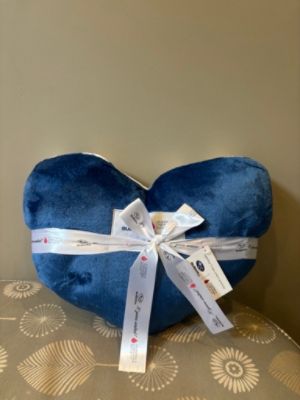 Bertera Subaru of Hartford Delivers Comfort and Hope Through Subaru Loves to Care Initiative
