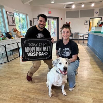 Love Never Grows Old: Louie’s Second Chance