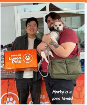 Gone To the Dogs with Subaru Pacific