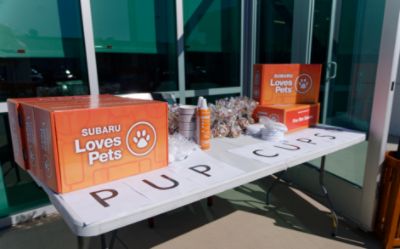 Five Star Subaru host the annual adoption event with Operation Kindness
