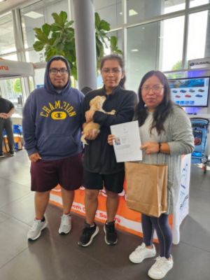 The Puppies are Here!