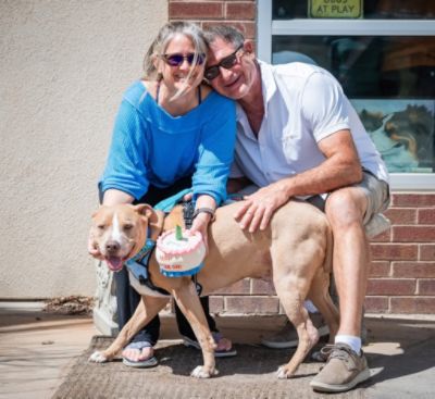 With Subaru’s Support, Homeless Animals Like Chance Find Hope and a Second Chance.