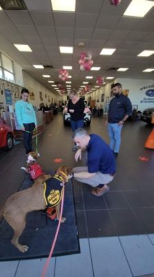 Subaru Stamford and Lucky Dog Refuge team up for the 2022 Subaru Loves Pet campaign! 