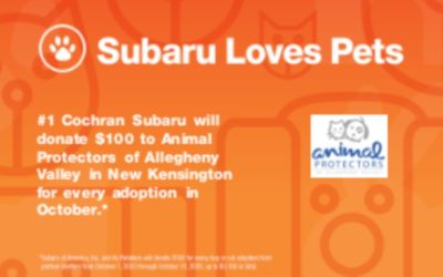 Subaru Loves Animal Protectors