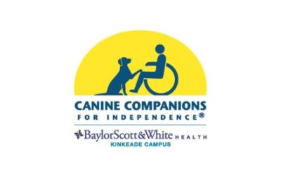 partnerCompanyName