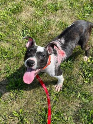 A Story of Resilience: Josie’s Journey to Recovery