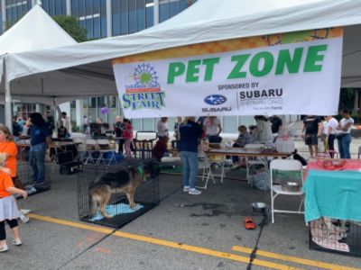 2022 Sherman Oaks Street Fair Big Love Animal Rescue Adoption Event