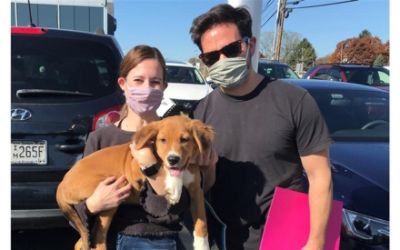 Paul Miller Subaru Hosts Pet Adoption Event