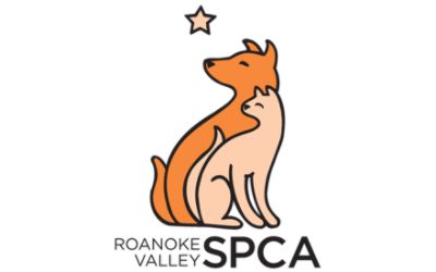partnerCompanyName