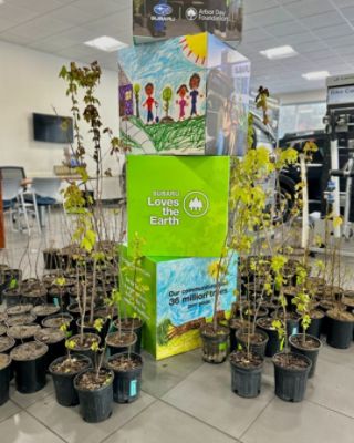 Bel Air Subaru’s Tree Giveaway Grows Roots in the Community