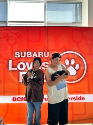 Subaru Loves Pets Month: A Community Coming Together for Animals