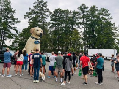 Cycling, Running, Swimming and Beyond