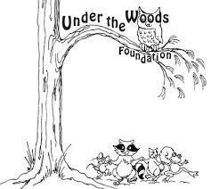 Under The Woods Foundation