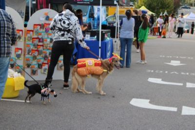 Where Trunks Met Tails:  A Halloween Adoption Bash