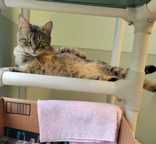 Schatzi-A Tale of Patience