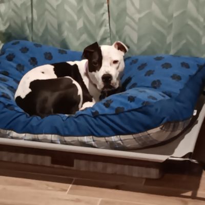 Love Finds a Way: JJ’s Journey Home