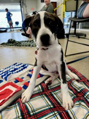 July Rescue Event