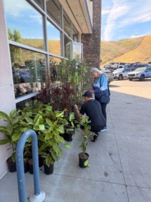 Give A Tree, Plant A Tree!!