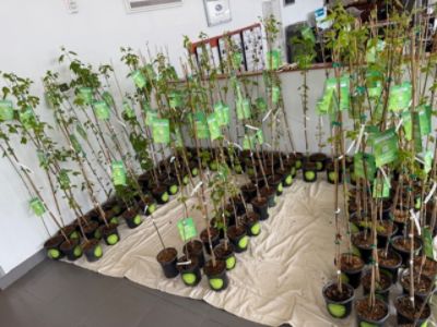 Subaru Loves the Earth Arbor Day Event