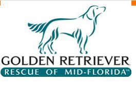  Golden retriever rescue of mid florida