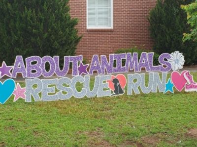 Subaru of Macon Supporting the All About Animals Rescue Run