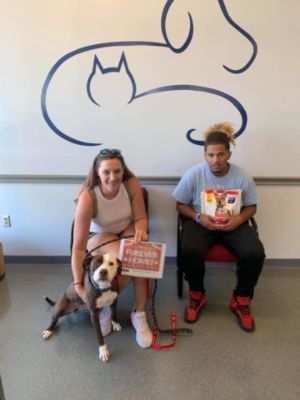 Briggs Helps Pets Find Homes