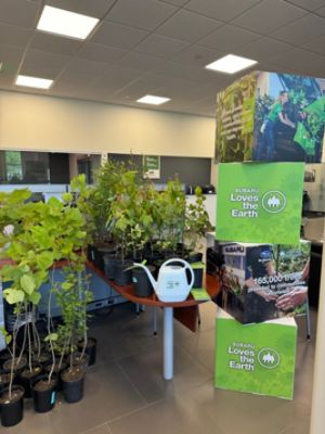Arbor Day Tree Event at Brewster Subaru