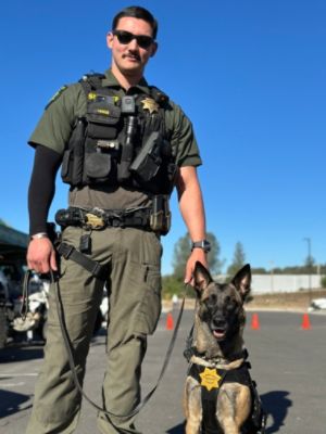 Shingle Springs Subaru support to Sheriff K9 Evi
