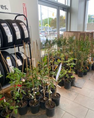Growing a Greener Community